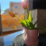 Apartamento Moreno